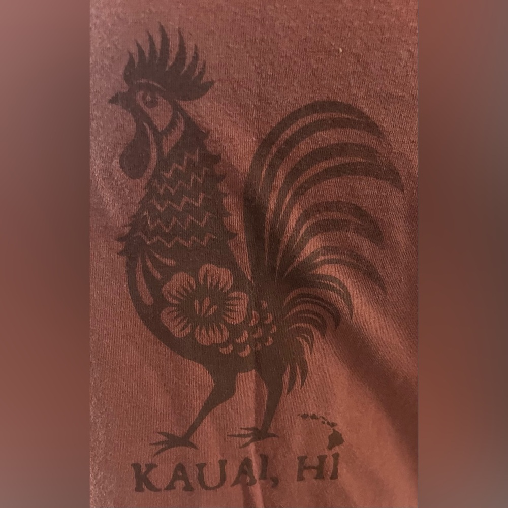 Real Dirt XL Kid’s Kauai, HI t- shirt